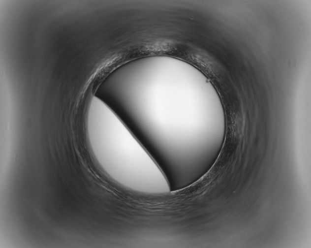 X0000087560731200704270925