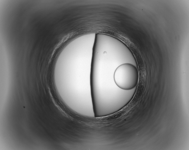 X0000087560734200704270925