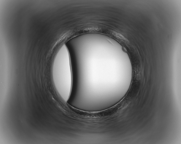 X0000087560735200704270925
