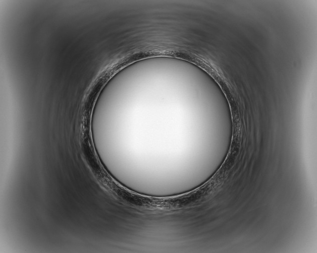 X0000087560736200704270925