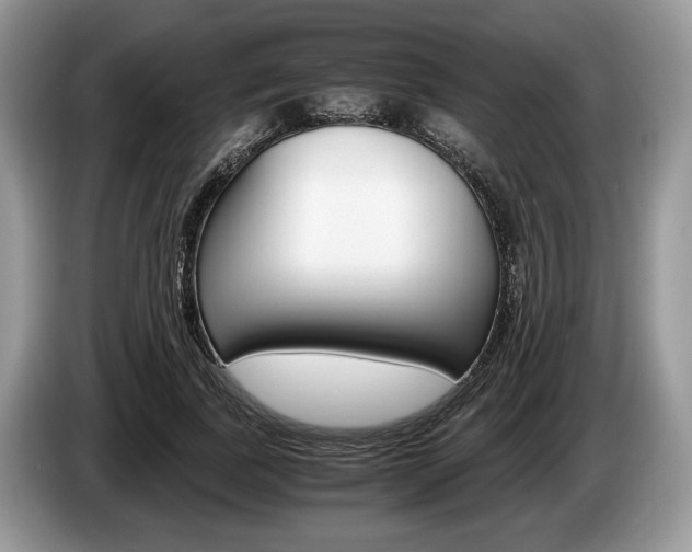 X0000087560739200704270925