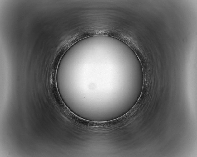 X0000087560740200704270925