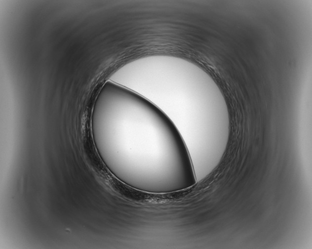 X0000087560742200704270925