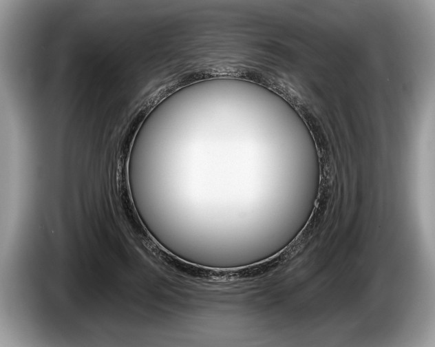 X0000087560744200704270925