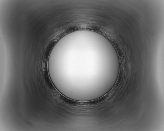 X0000087560746200704270925