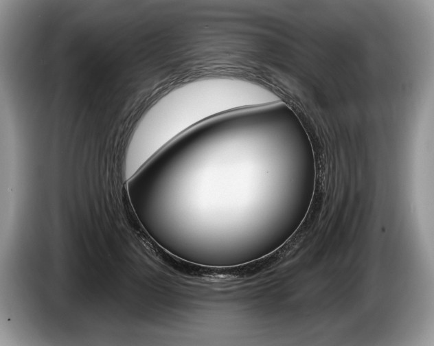 X0000087560748200704270925
