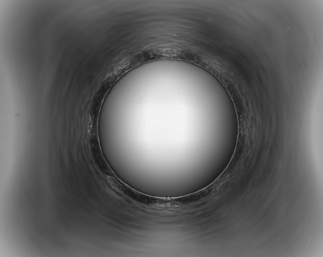 X0000087560752200704270925