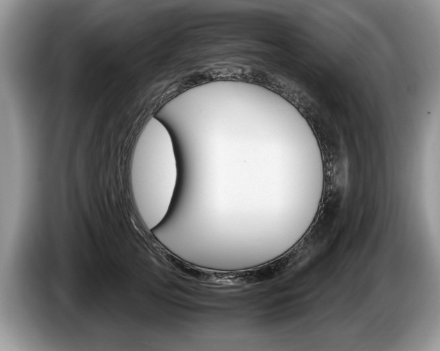 X0000087560753200704270925