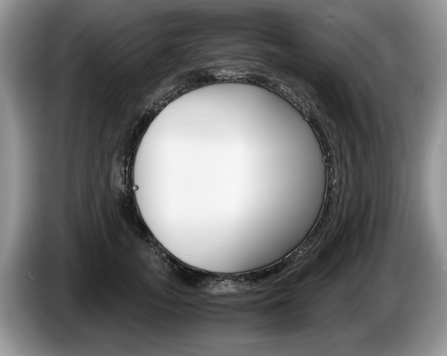 X0000087560755200704270926