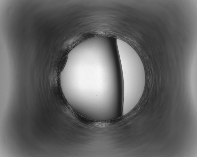 X0000087560762200704270926