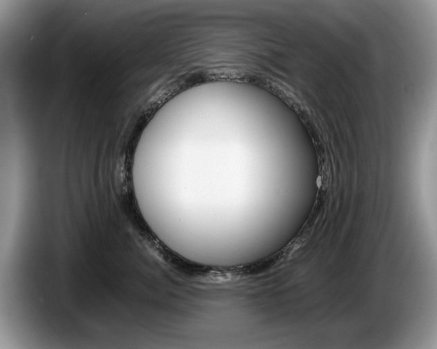 X0000087560764200704270926