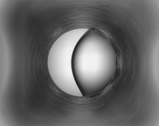 X0000087560766200704270926