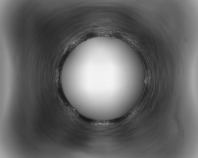 X0000087560767200704270926