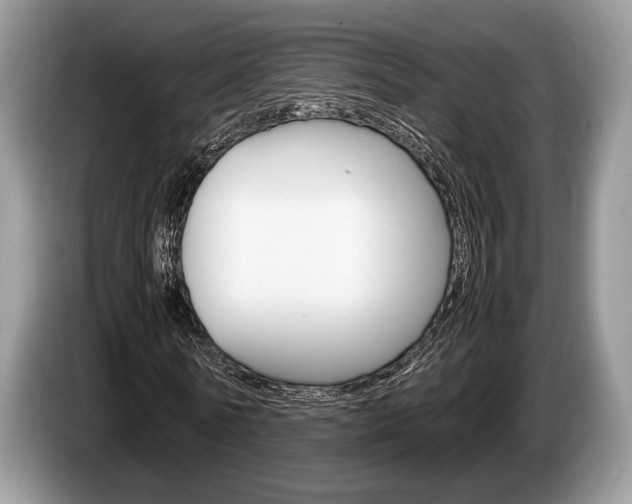 X0000087560770200704270925