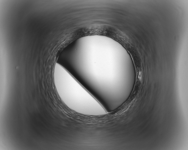 X0000087560771200704270925