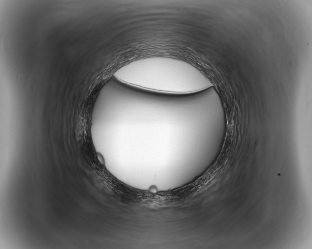 X0000087560772200704270925