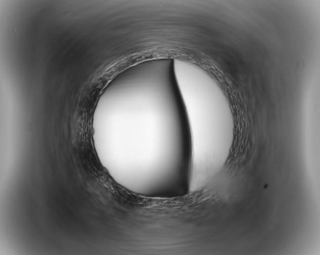 X0000087560773200704270925