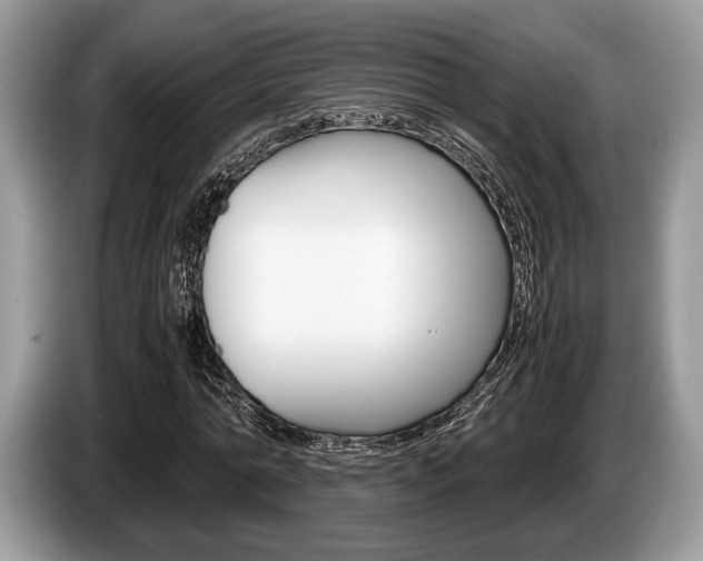 X0000087560774200704270925