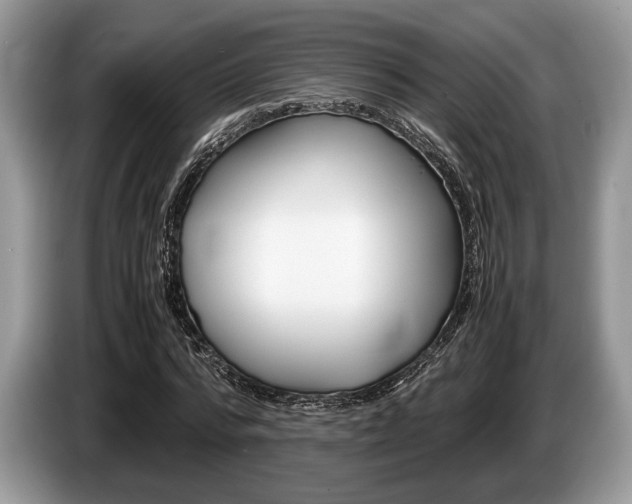 X0000087560776200704270925