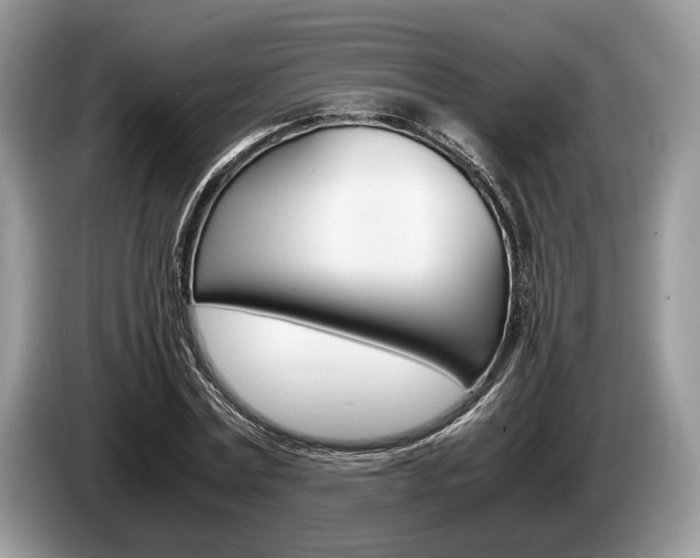 X0000087560779200704270925