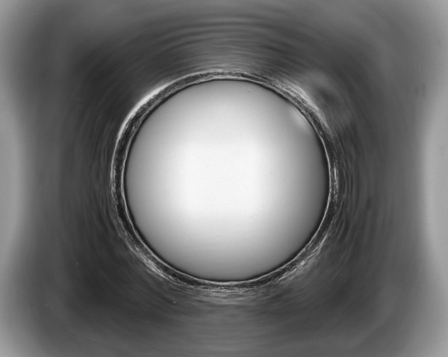 X0000087560780200704270925