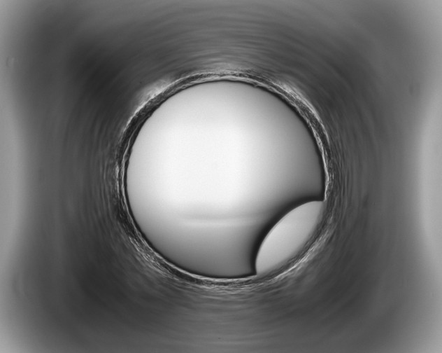 X0000087560781200704270925
