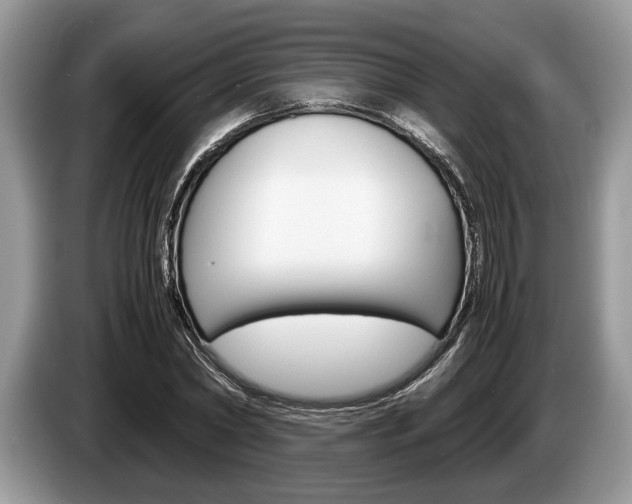 X0000087560782200704270925