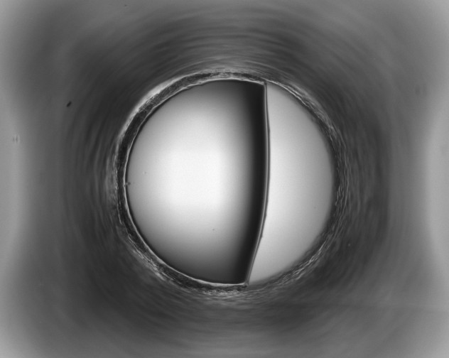 X0000087560784200704270925