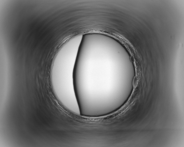 X0000087560785200704270925