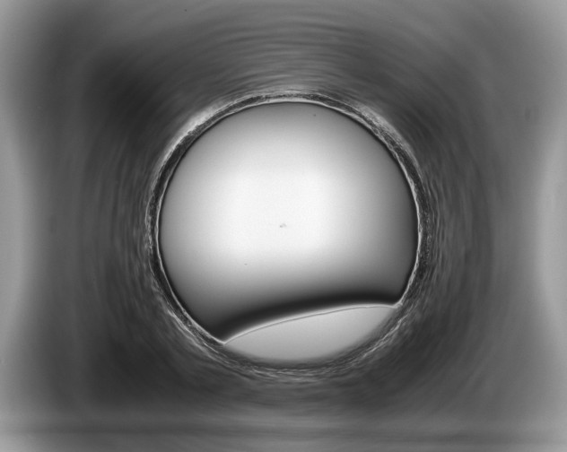 X0000087560789200704270925