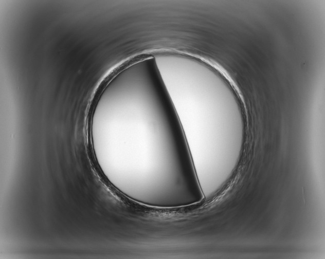 X0000087560791200704270925