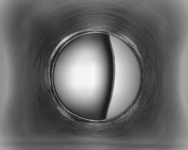 X0000087560792200704270925