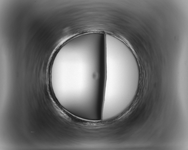 X0000087560795200704270925