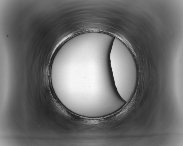 X0000087560798200704270925
