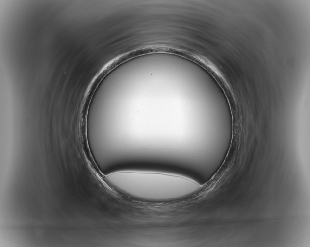 X0000087560799200704270925
