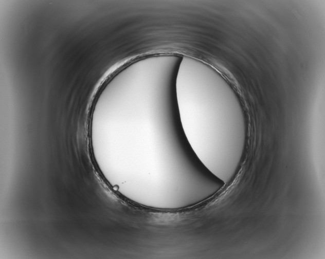 X0000087560800200704270925