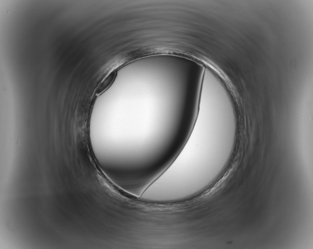 X0000087560801200704270925