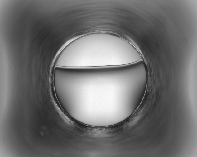 X0000087560803200704270925