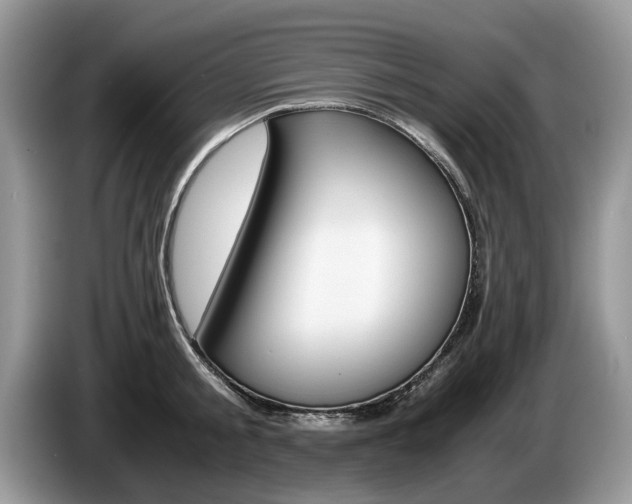 X0000087560805200704270925