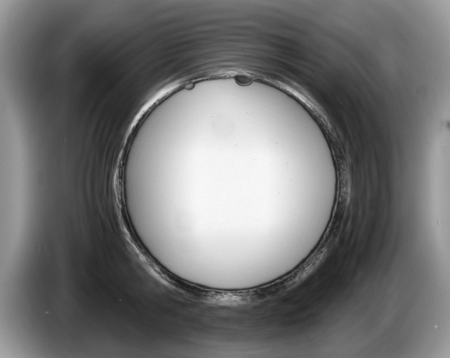 X0000087560806200704270925