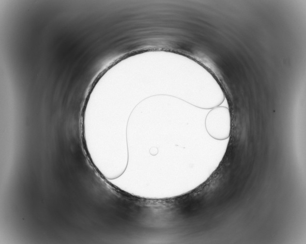 X0000087560807200704270925