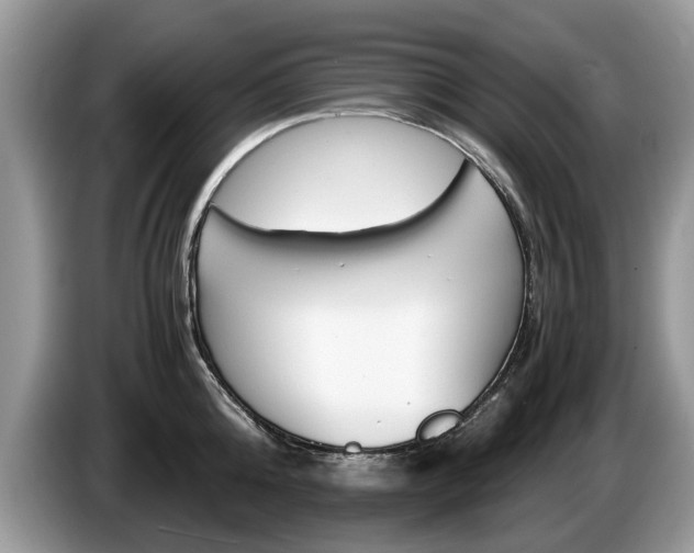 X0000087560808200704270925