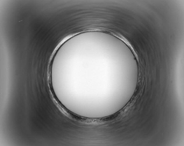 X0000087560811200704270925