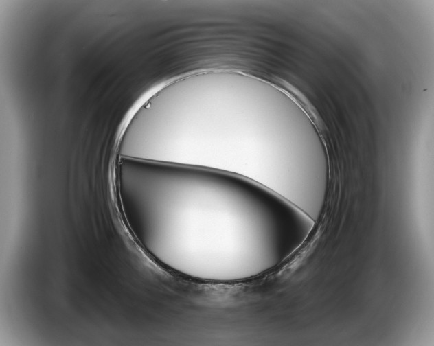 X0000087560812200704270925