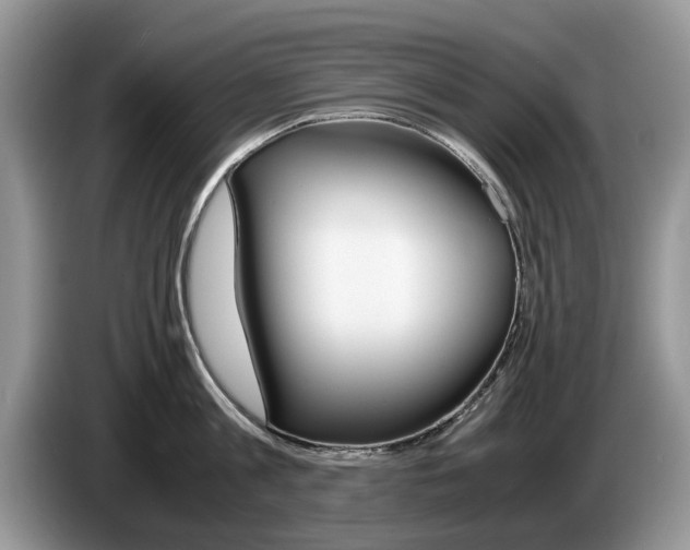 X0000087560813200704270925