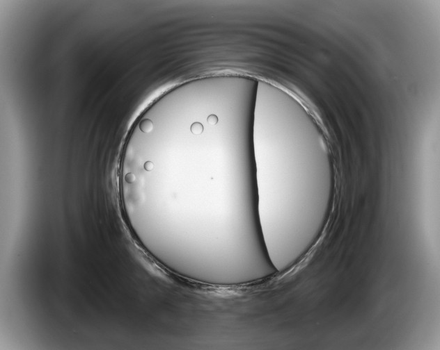 X0000087560814200704270925