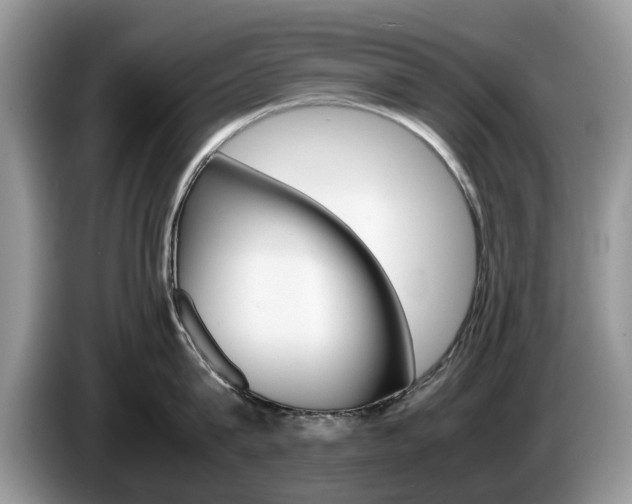 X0000087560815200704270925
