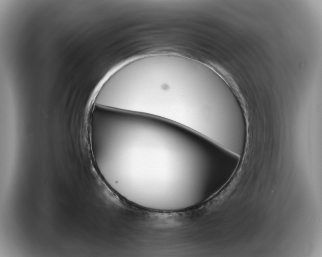 X0000087560816200704270925