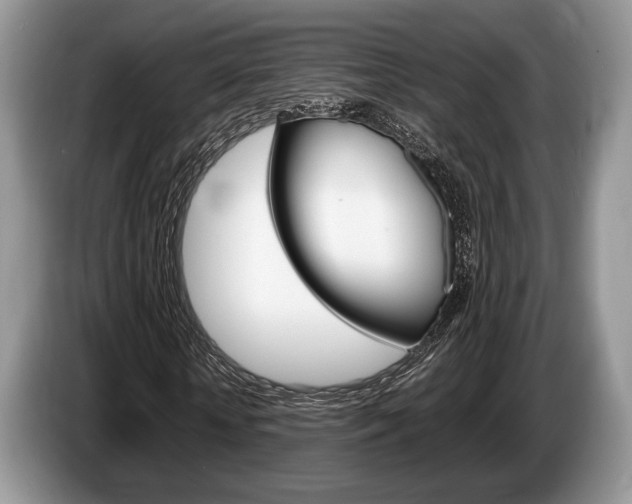 X0000087560818200704270924