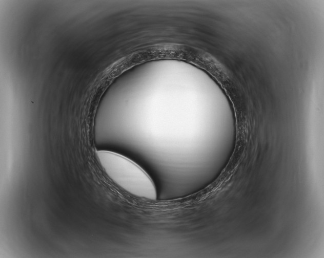 X0000087560821200704270924